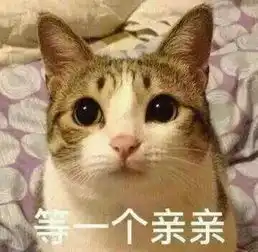  小猫趴桌子表情包