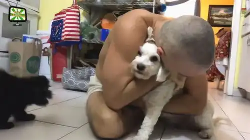  怎么被抱的那么紧,看狗狗的表情,真的是生无可恋啊