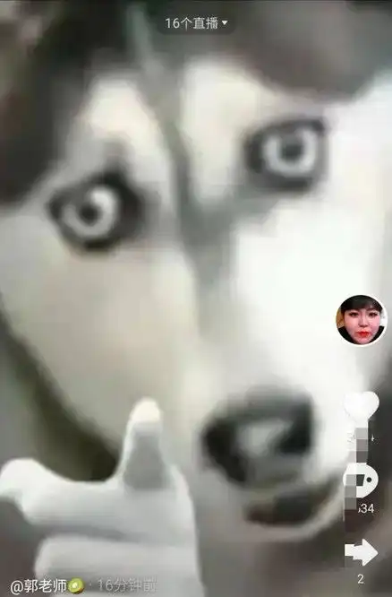  网红郭老师的账号被永久封禁,诉苦称自己无辜,网友喜大普奔
