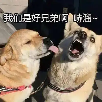  诺基亚你以为它凉了,其实它已重回世界第二