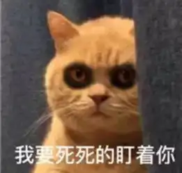  一组熬夜修仙的表情包
