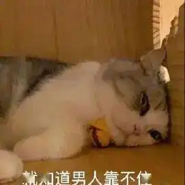  委屈呜哇哇哇哇破音第292期喵表情