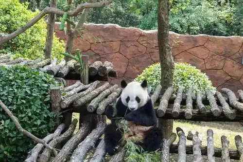  暑假好去处,尽在茱萸湾