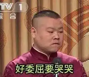 我的天啊岳云鹏表情包欢