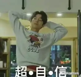 撩男神表情包赖文峰