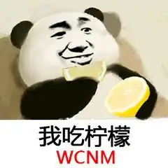  梅尔滕斯赢20有点少