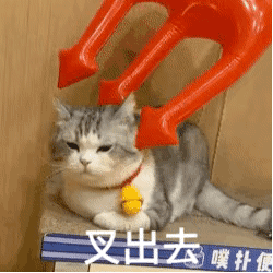  王思聪表情包孙一宁王思聪舔狗表情包王思聪孙一宁表情包
