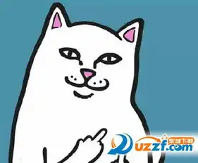  竖中指表情包图片预览