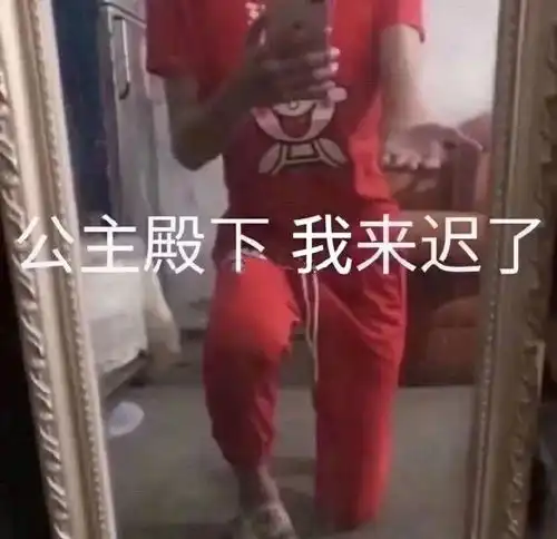 沙雕表情包公主殿下,我来啦