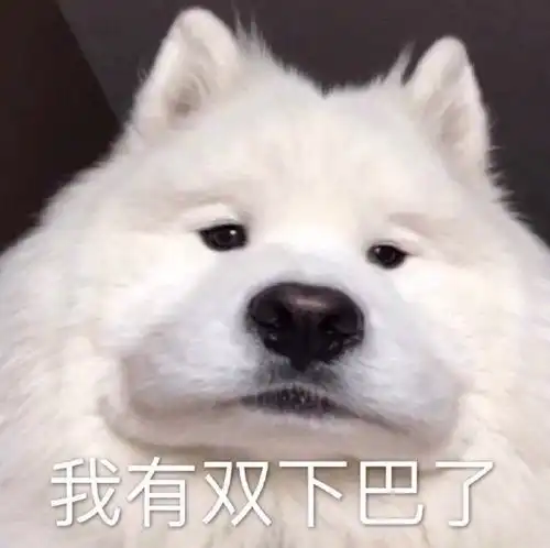 打狗狗表情包萨摩耶