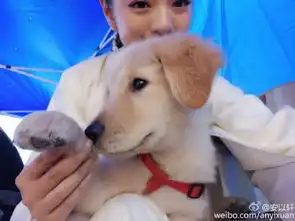  安以轩抱狗自拍表情神同步大眼清纯可爱
