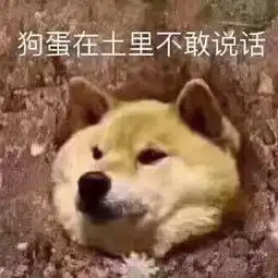  debateforbetterlife思辩学园招新
