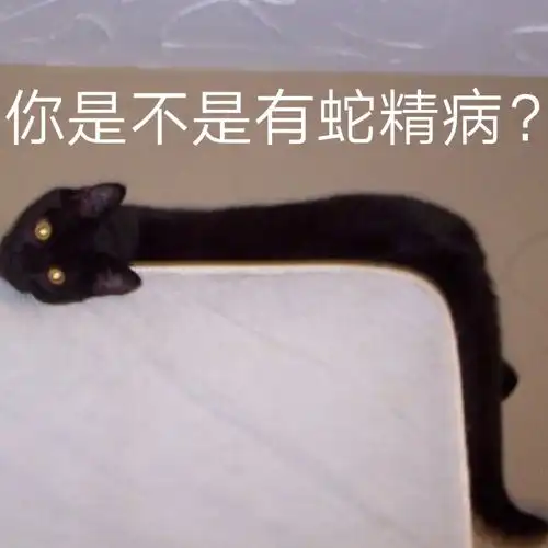  超可爱的小黑猫沙雕表情包
