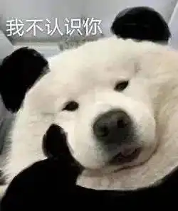 熊猫狗图片表情包表情