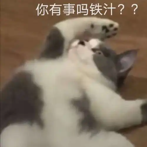 萌宠表情包向老公低头