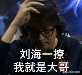 币哥表情包对方
