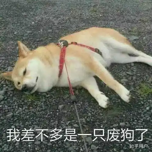  明明一开始是肖战粉丝的锅为什么现在都在骂肖战呢