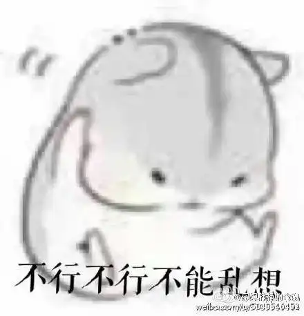  仓鼠夫妻