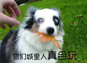  你挺萌的翻白眼qaq
