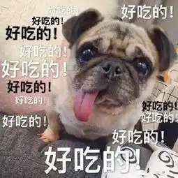 狗狗表情包图片