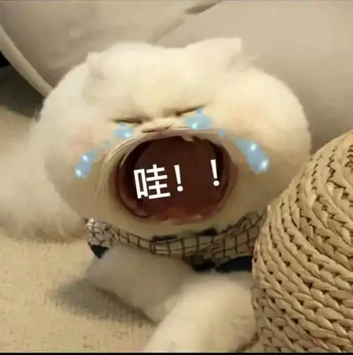  笑话十条你不会是江湖骗子假装的和尚吧