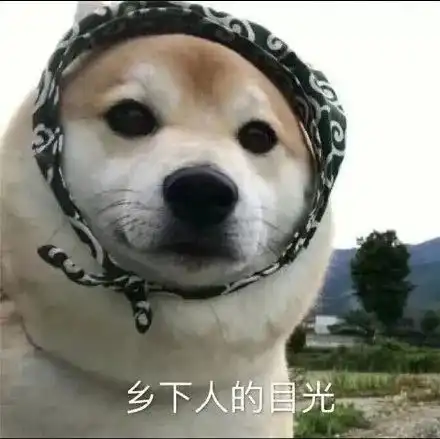  搞笑表情包图片看朋友圈不点赞的当场被抓