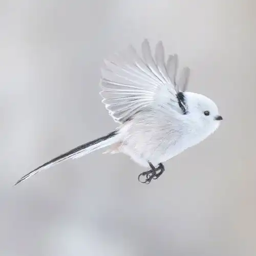  天天都是猫啊狗啊没有鸟粉吗