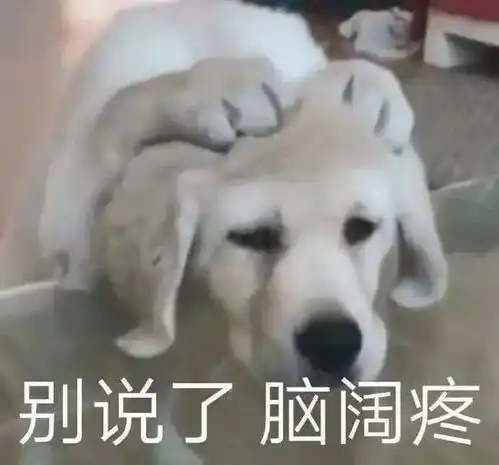  防晒好看显脸小,这个时髦单品给我来一打