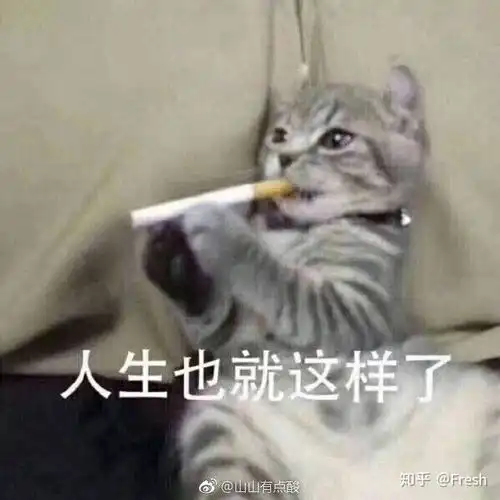  有哪些丑萌表情包