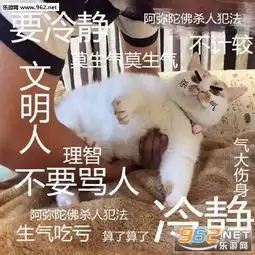  今天也是精致的猪猪女孩表情包你睡你的郭德纲我抱我的彭于晏表情包下载乐游网游戏下载