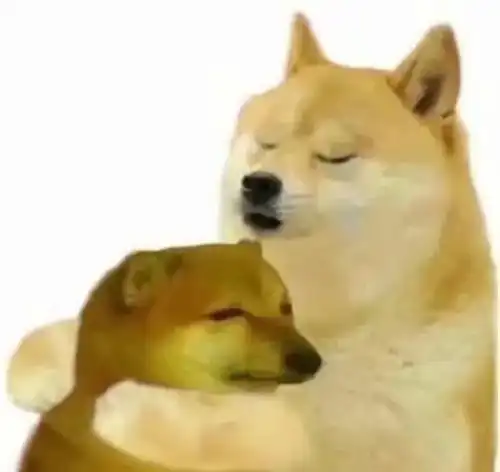  表情包蛤蟆狗柴犬cheems表情包