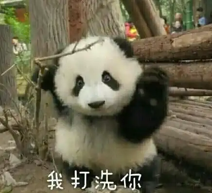  老师我可以喜欢你吗