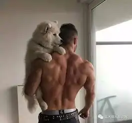 你狗狗祟祟的看什么呢我看猛男,不猛犬呢
