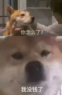 微信胖多拉表情包上限
