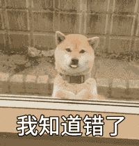  表情包动图片我姿态优雅的躲过了爱情