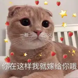  7月最新的100张热门表情包,聊天超有意思