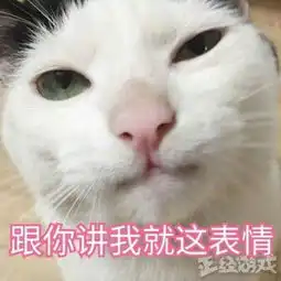  rng击溃kz夺冠,中国网友向他们道歉,韩国网民却骂他们卖国贼