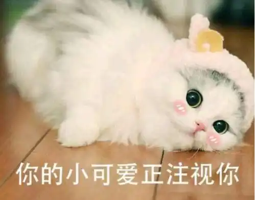  你了解过日本的盂兰盆节吗