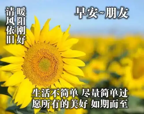 ﻿是时候了图片表情包问候