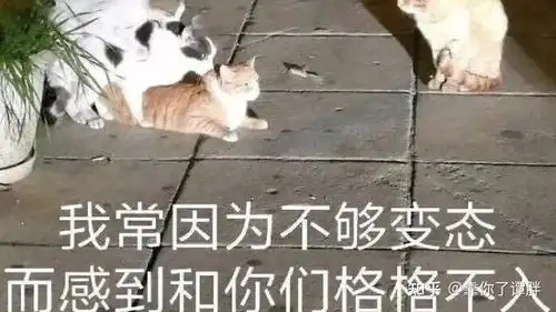  谭胖黑龙江科技大学是个好学校,可惜学生身体太差