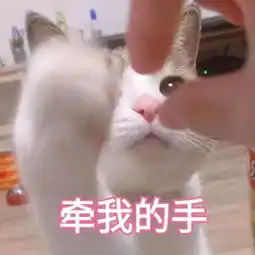  干皮用粉饼会长皱纹但油皮用粉饼却老的慢