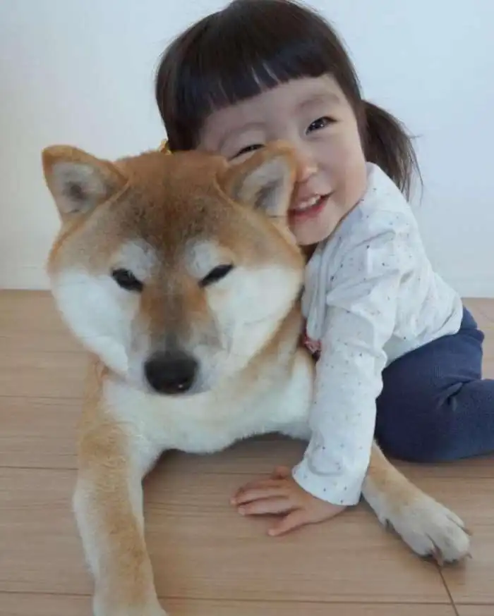  一儿一女一狗狗,妈妈用镜头书写爱的日记,太暖心了