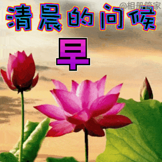  8张最新特别有创意的免打字早上好问候动画表情包好看唯美的冬天早安问候祝福动态图片表情