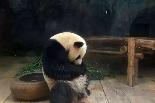  给动物包粽子夜探动物园特惠年卡限量抢欢乐粽动员,等你来哟
