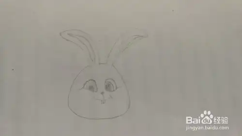  简笔画爱宠大机密兔子小白
