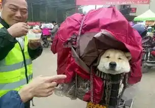 先锋悦读丨暖心回家路那么长,谢谢你没把我丢下...