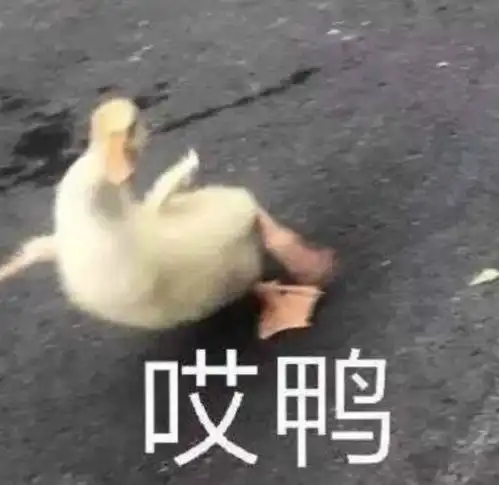  宋慧乔背后的蝴蝶骨是怎么被炒作起来的看完你就明白了