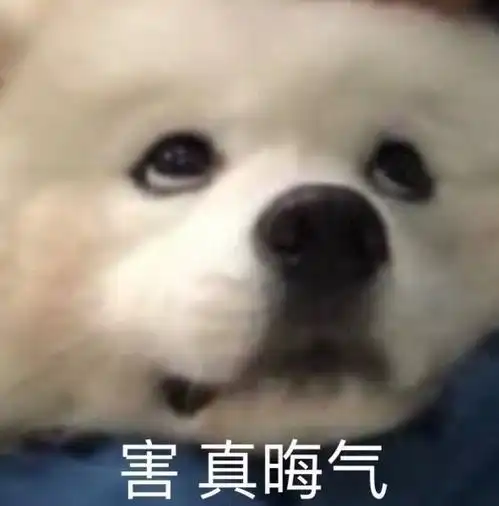  怎么新生戾气这么重啊,以及一些问题的建议