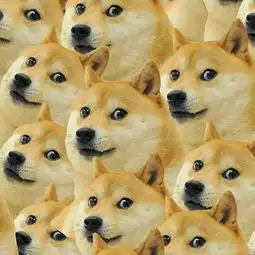  神烦狗doge
