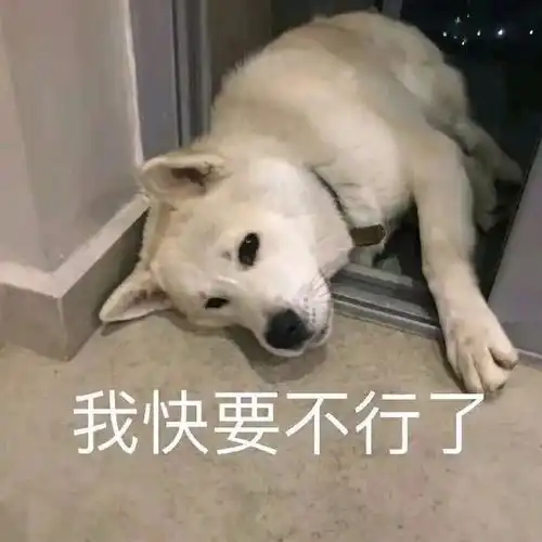  表情包怎么样,我厉害吧